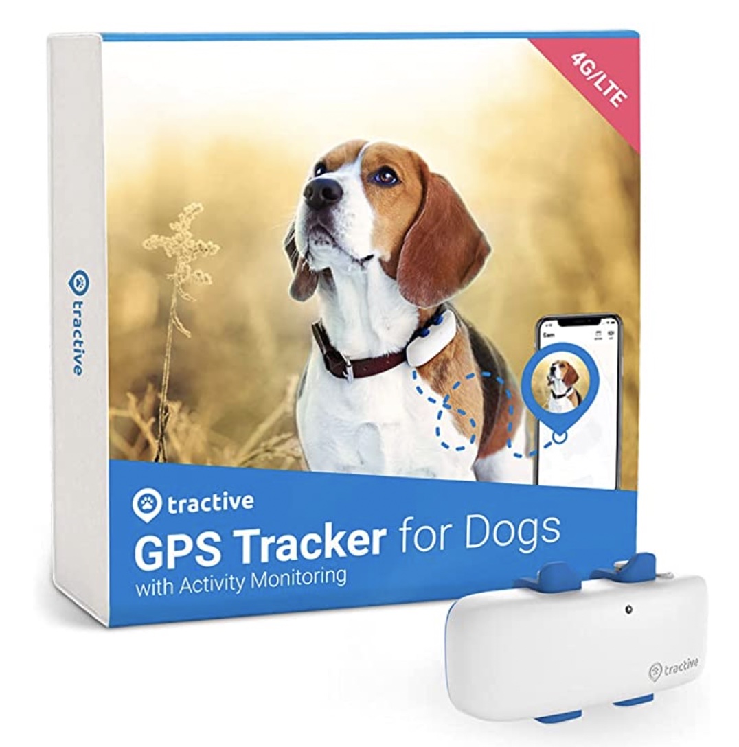 Tractive LTE GPS dog tracker